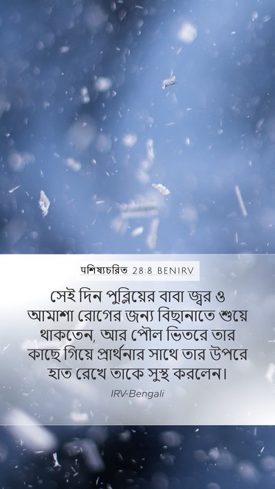 पশিষ্যচরিত 28:8 BENIRV Bible Verse Image