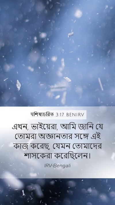 पশিষ্যচরিত 3:17 BENIRV Bible Verse Image