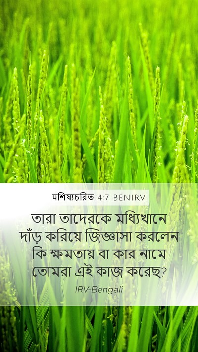 पশিষ্যচরিত 4:7 BENIRV Bible Verse Image