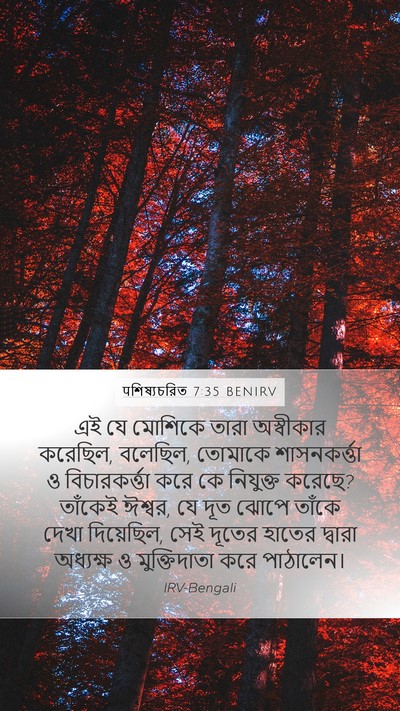 पশিষ্যচরিত 7:35 BENIRV Bible Verse Image