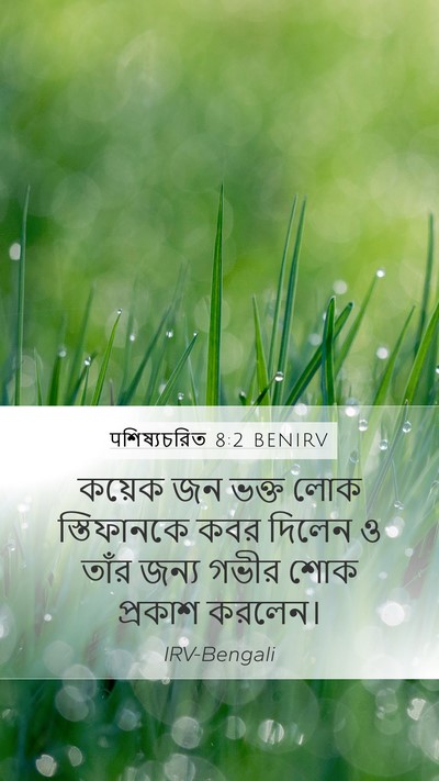 पশিষ্যচরিত 8:2 BENIRV Bible Verse Image