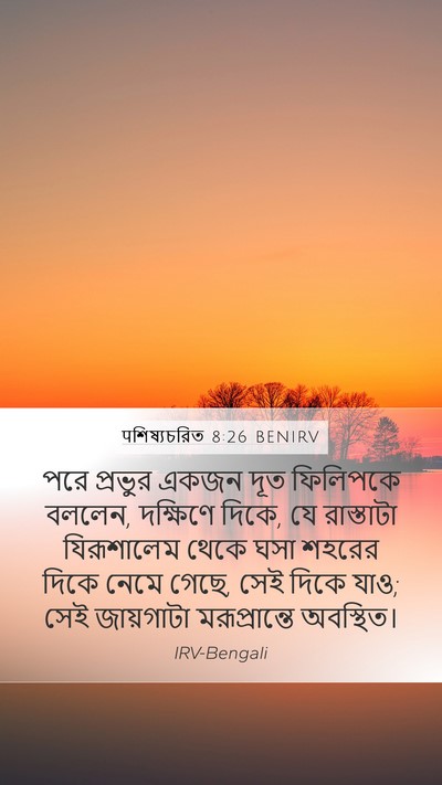 पশিষ্যচরিত 8:26 BENIRV Bible Verse Image