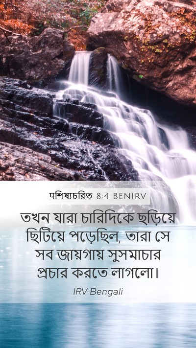 पশিষ্যচরিত 8:4 BENIRV Bible Verse Image