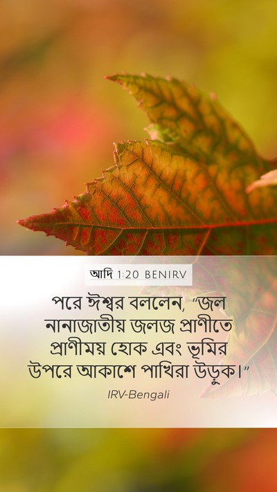 আদি 1:20 BENIRV Bible Verse Image