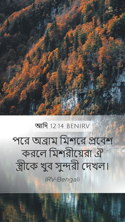 আদি 12:14 BENIRV Bible Verse Image