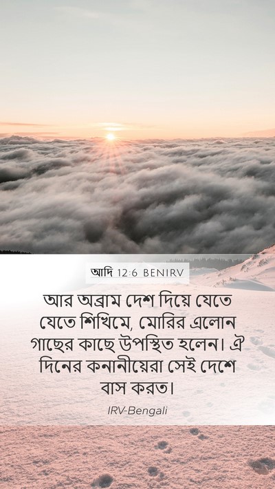 আদি 12:6 BENIRV Bible Verse Image