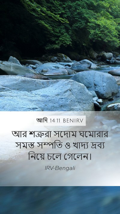 আদি 14:11 BENIRV Mobile Phone Wallpaper - আর শত্রুরা সদোম - Mobile Bible Verse Wallpaper