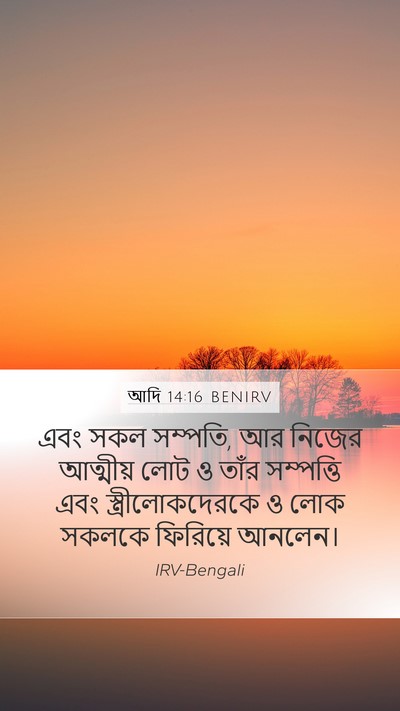 আদি 14:16 BENIRV Bible Verse Image