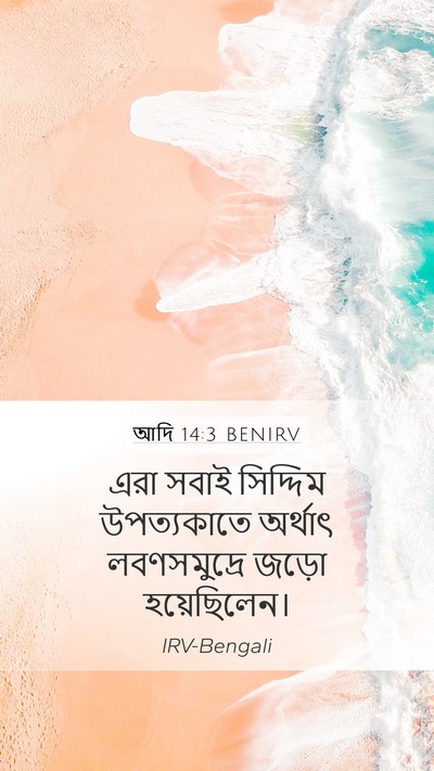 আদি 14:3 BENIRV Bible Verse Image