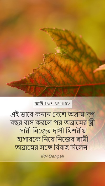 আদি 16:3 BENIRV Mobile Phone Wallpaper - এই ভাবে কনান দেশে - Mobile Bible Verse Wallpaper