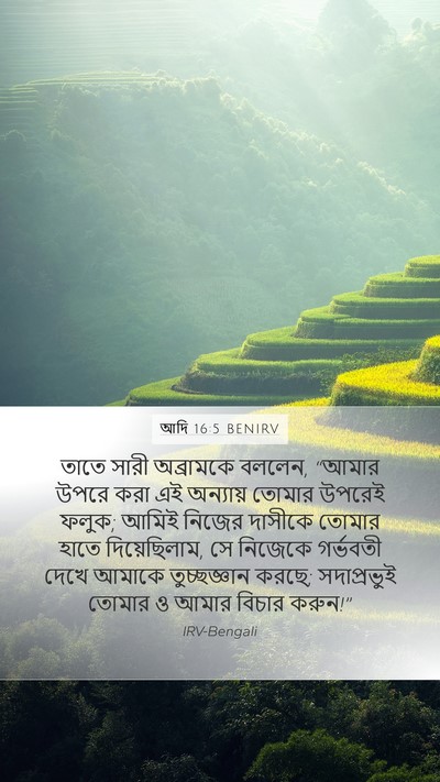 আদি 16:5 BENIRV Bible Verse Image