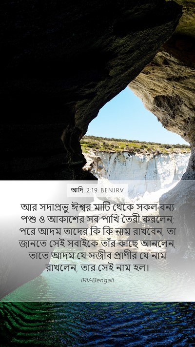 আদি 2:19 BENIRV Bible Verse Image