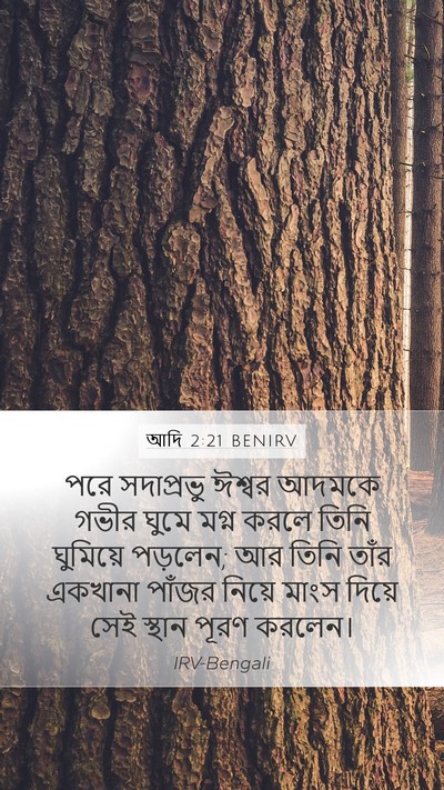 আদি 2:21 BENIRV Bible Verse Image