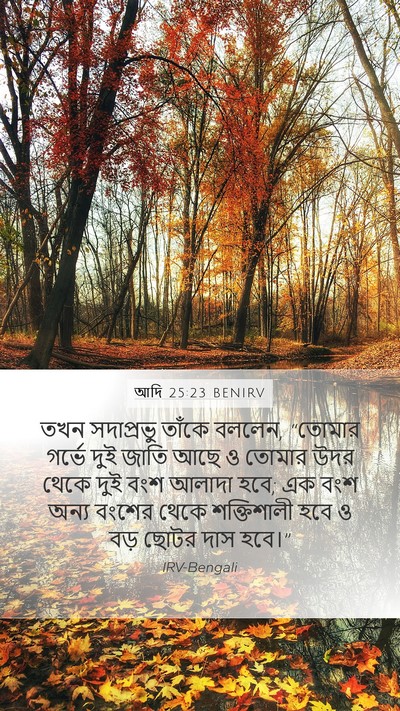 আদি 25:23 BENIRV Bible Verse Image