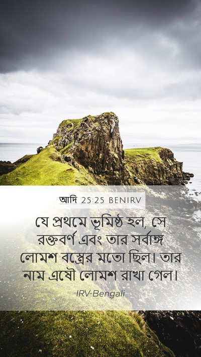 আদি 25:25 BENIRV Bible Verse Image