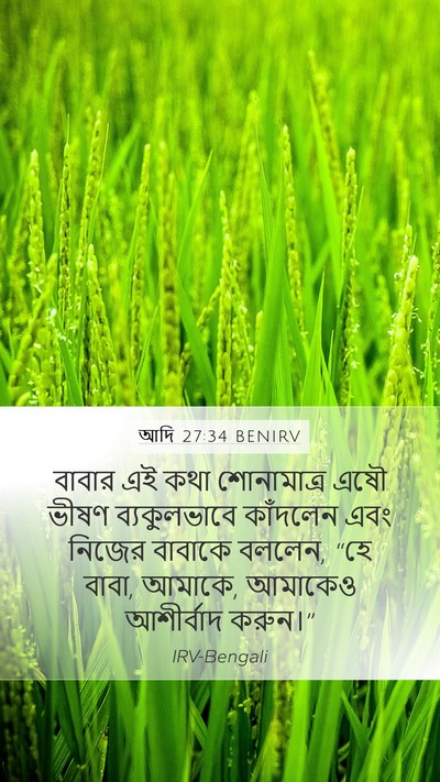 আদি 27:34 BENIRV Bible Verse Image