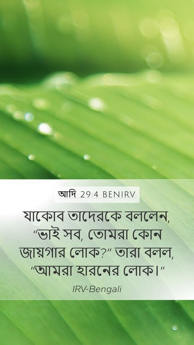 আদি 29:4 BENIRV Bible Verse Image