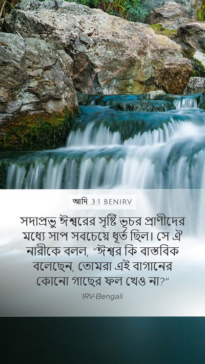 আদি 3:1 BENIRV Bible Verse Image