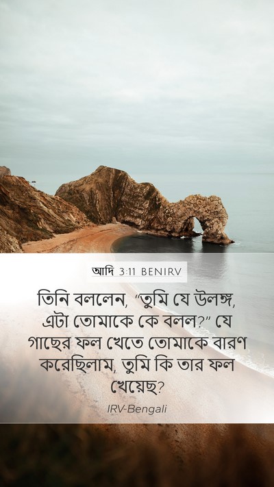 আদি 3:11 BENIRV Bible Verse Image