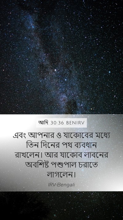 আদি 30:36 BENIRV Bible Verse Image