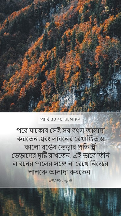 আদি 30:40 BENIRV Mobile Phone Wallpaper - পরে যাকোব সেই সব - Mobile Bible Verse Wallpaper