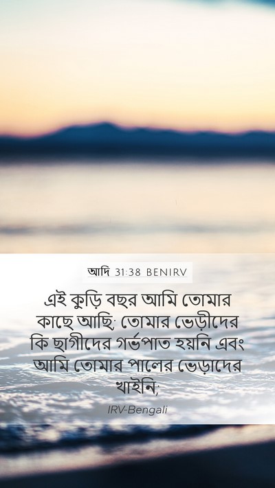 আদি 31:38 BENIRV Bible Verse Image