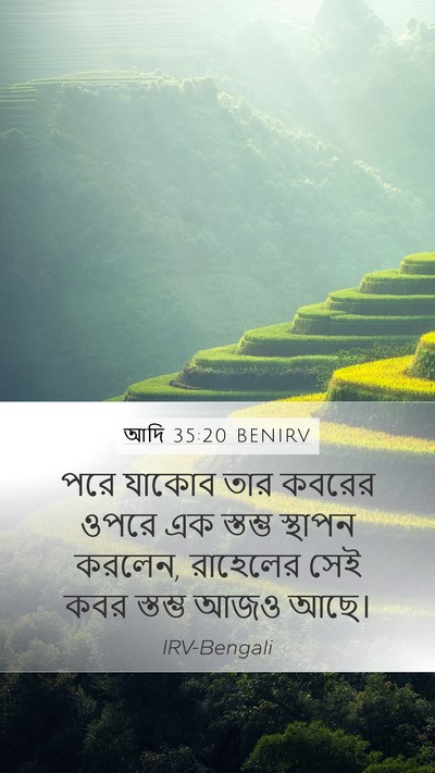 আদি 35:20 BENIRV Mobile Phone Wallpaper - পরে যাকোব তার - Mobile Bible Verse Wallpaper