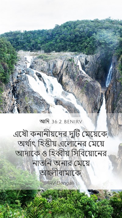 আদি 36:2 BENIRV Bible Verse Image