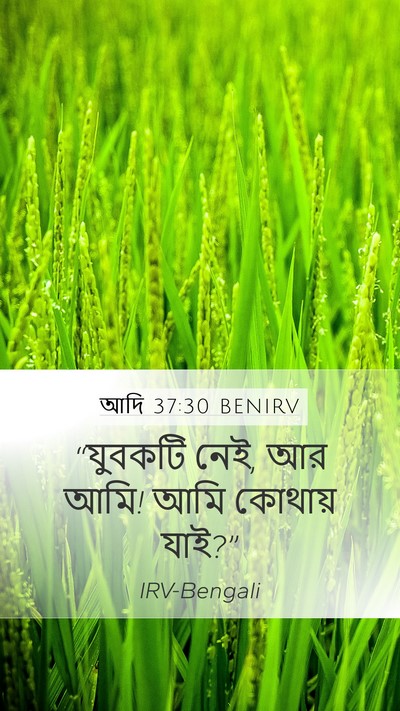 আদি 37:30 BENIRV Bible Verse Image