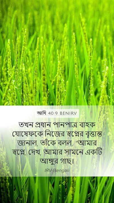 আদি 40:9 BENIRV Mobile Phone Wallpaper - তখন প্রধান - Mobile Bible Verse Wallpaper