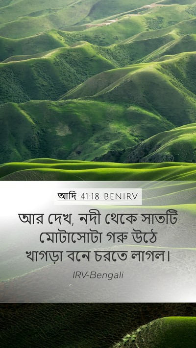 আদি 41:18 BENIRV Mobile Phone Wallpaper - আর দেখ, নদী থেকে - Mobile Bible Verse Wallpaper