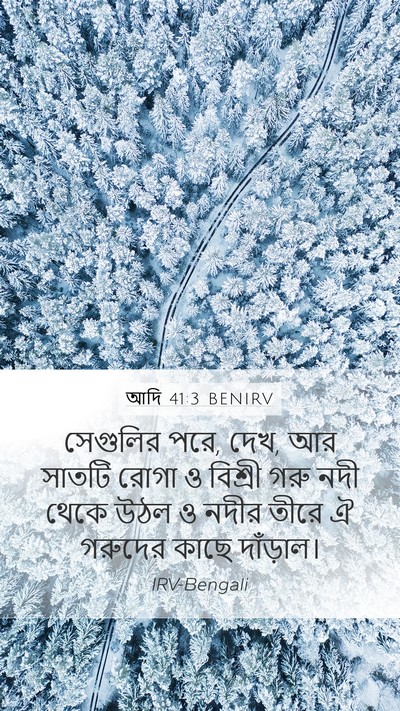 আদি 41:3 BENIRV Mobile Phone Wallpaper - সেগুলির পরে, দেখ, - Mobile Bible Verse Wallpaper