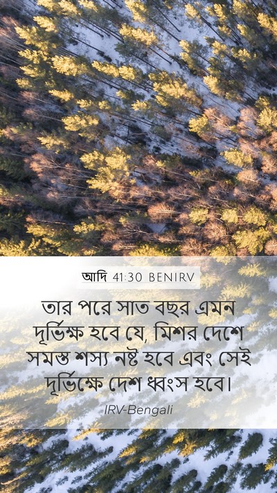 আদি 41:30 BENIRV Bible Verse Image