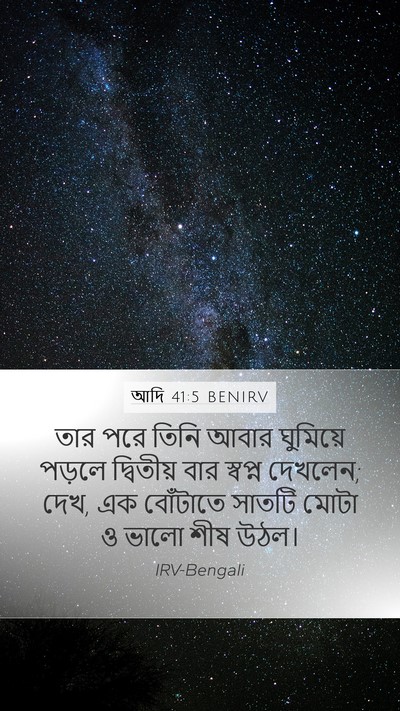 আদি 41:5 BENIRV Bible Verse Image