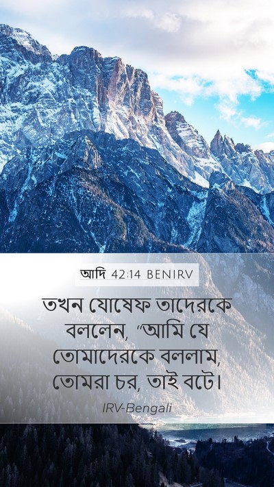 আদি 42:14 BENIRV Bible Verse Image