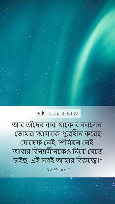 আদি 42:36 BENIRV Bible Verse Image