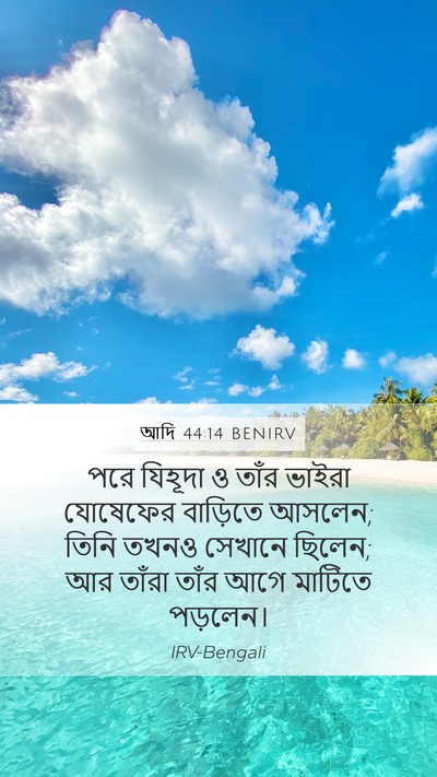 আদি 44:14 BENIRV Bible Verse Image