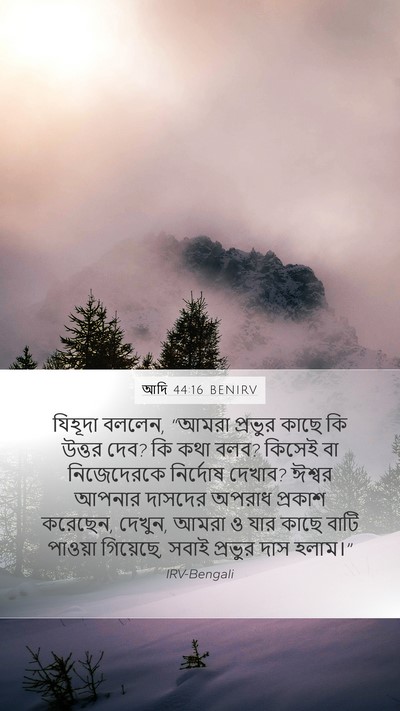 আদি 44:16 BENIRV Bible Verse Image
