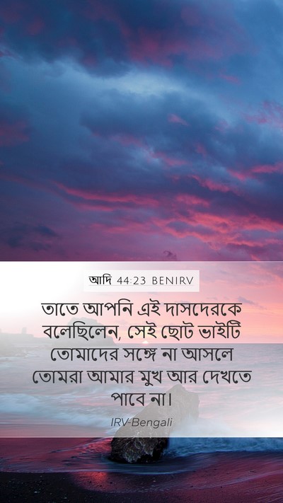 আদি 44:23 BENIRV Bible Verse Image