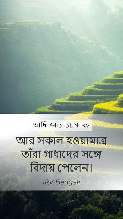 আদি 44:3 BENIRV Mobile Phone Wallpaper - আর সকাল - Mobile Bible Verse Wallpaper