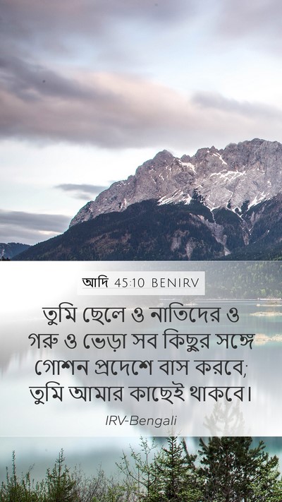 আদি 45:10 BENIRV Bible Verse Image