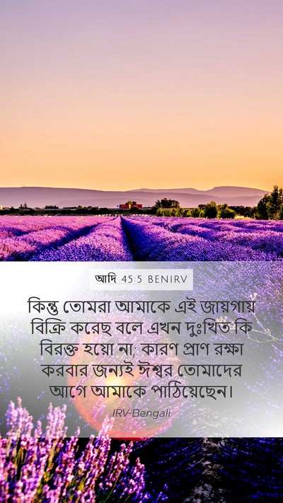 আদি 45:5 BENIRV Bible Verse Image
