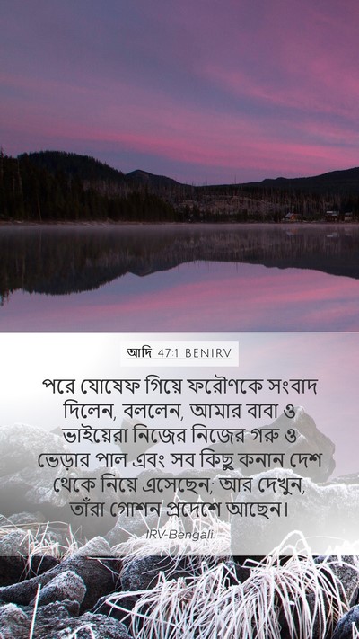 আদি 47:1 BENIRV Mobile Phone Wallpaper - পরে যোষেফ গিয়ে - Mobile Bible Verse Wallpaper