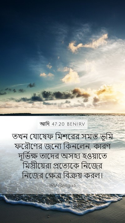 আদি 47:20 BENIRV Mobile Phone Wallpaper - তখন যোষেফ মিশরের - Mobile Bible Verse Wallpaper