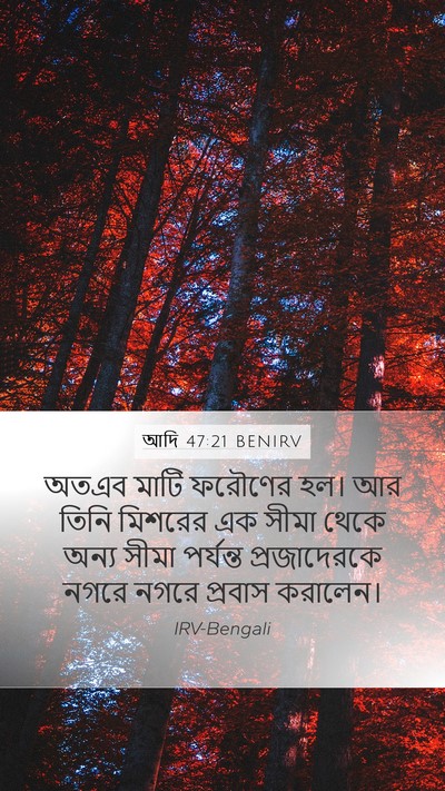 আদি 47:21 BENIRV Bible Verse Image
