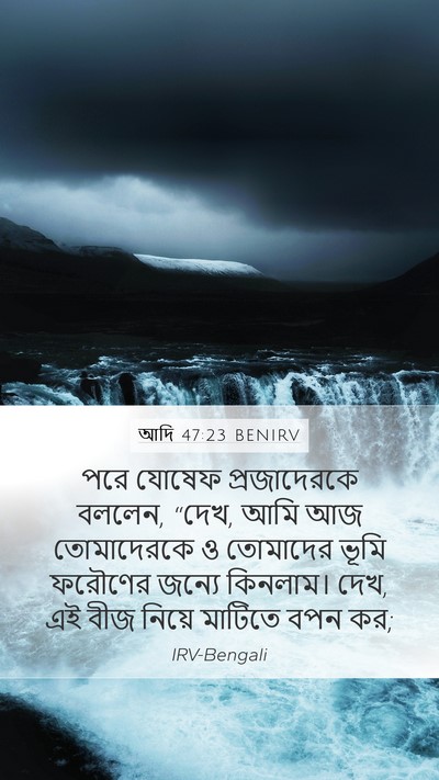 আদি 47:23 BENIRV Bible Verse Image