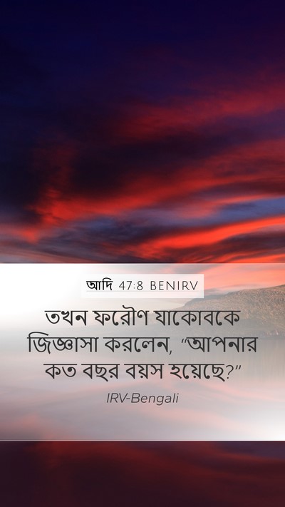 আদি 47:8 BENIRV Mobile Phone Wallpaper - তখন ফরৌণ যাকোবকে - Mobile Bible Verse Wallpaper