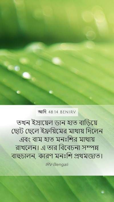 আদি 48:14 BENIRV Bible Verse Image