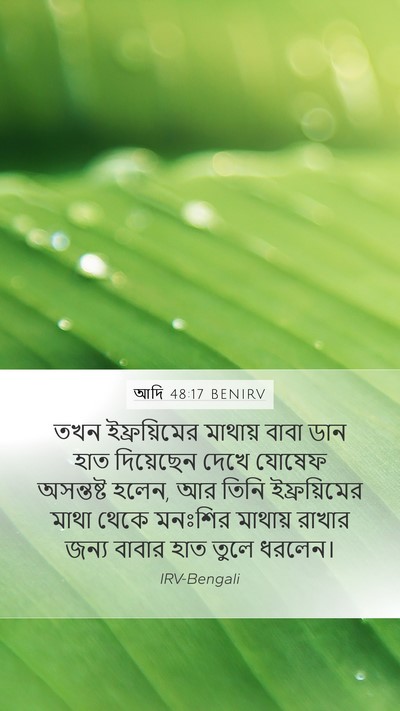 আদি 48:17 BENIRV Mobile Phone Wallpaper - তখন ইফ্রয়িমের - Mobile Bible Verse Wallpaper