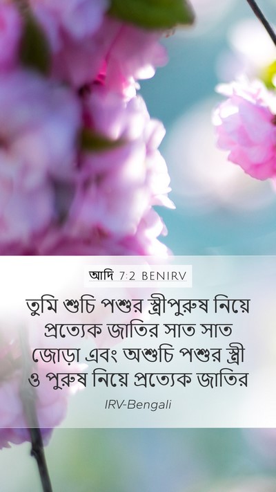 আদি 7:2 BENIRV Bible Verse Image